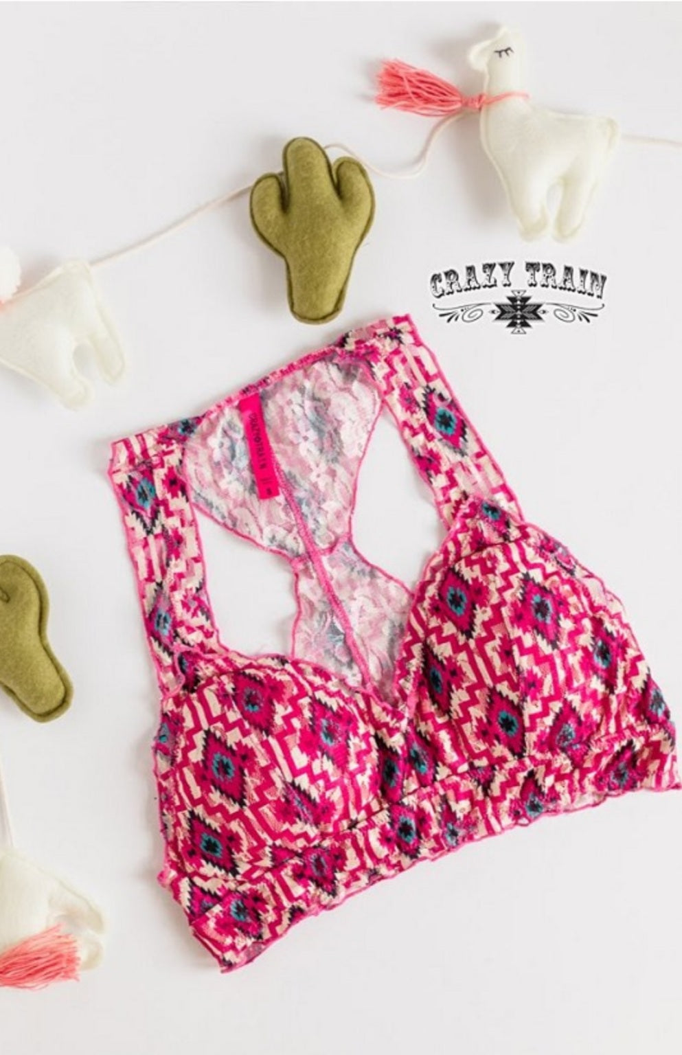 Way Out West Bralette ** Pink Aztec